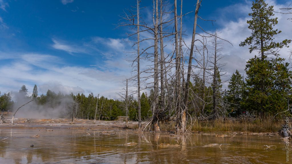 Yellowstone National Park