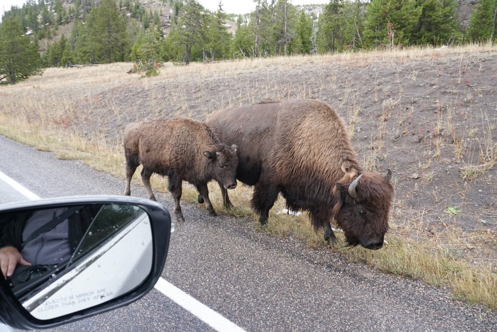 Yellowstone National Park