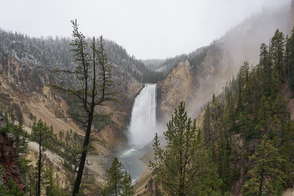 Yellowstone National Park