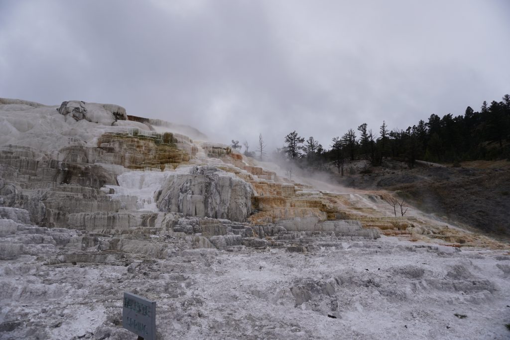 Yellowstone National Park