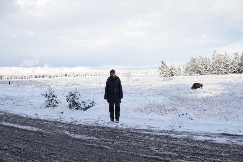 Yellowstone National Park im Schnell