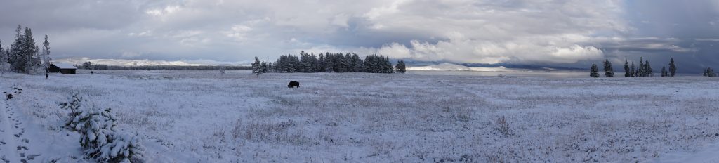 Yellowstone National Park