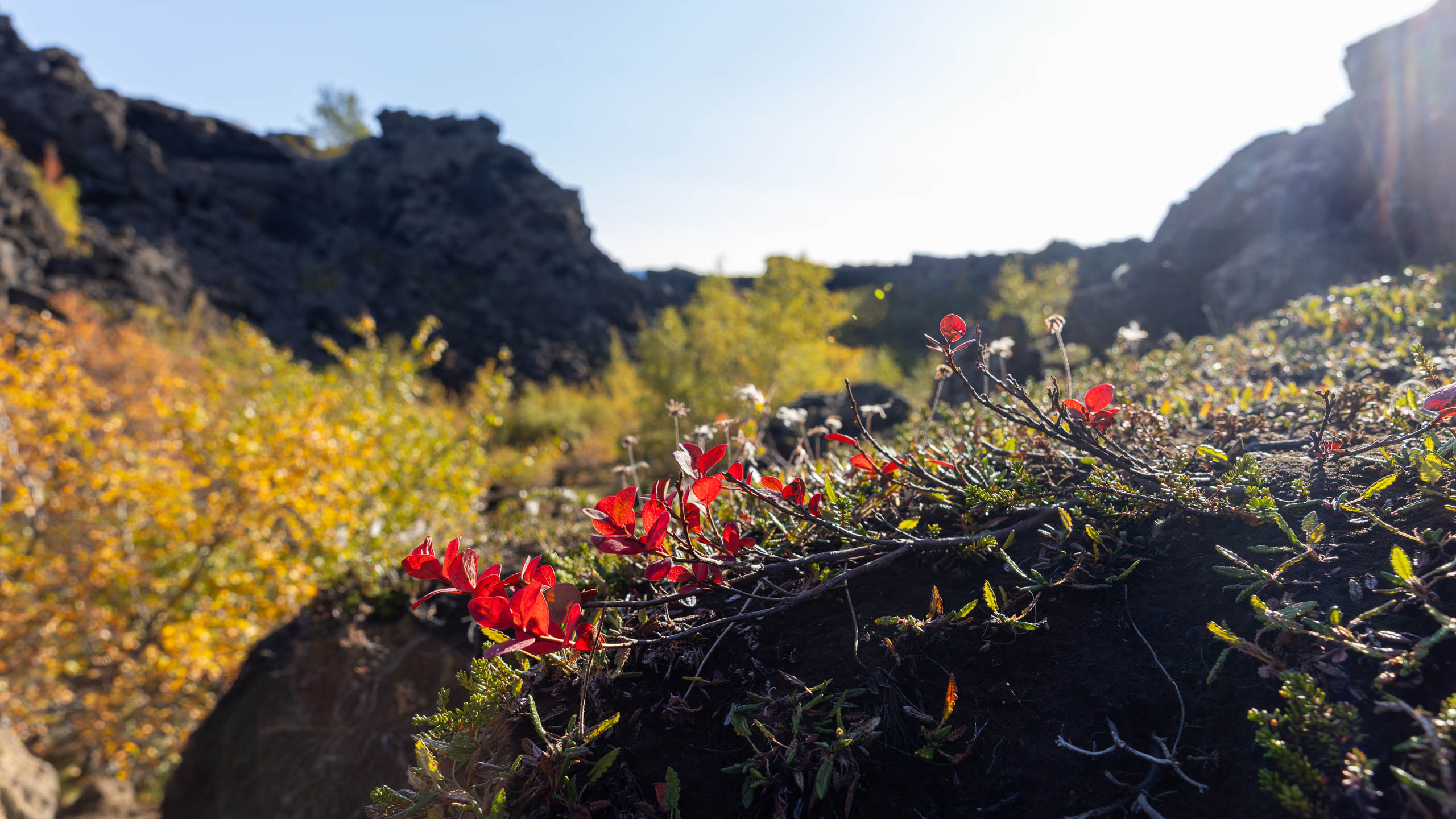 Dimmuborgir Island