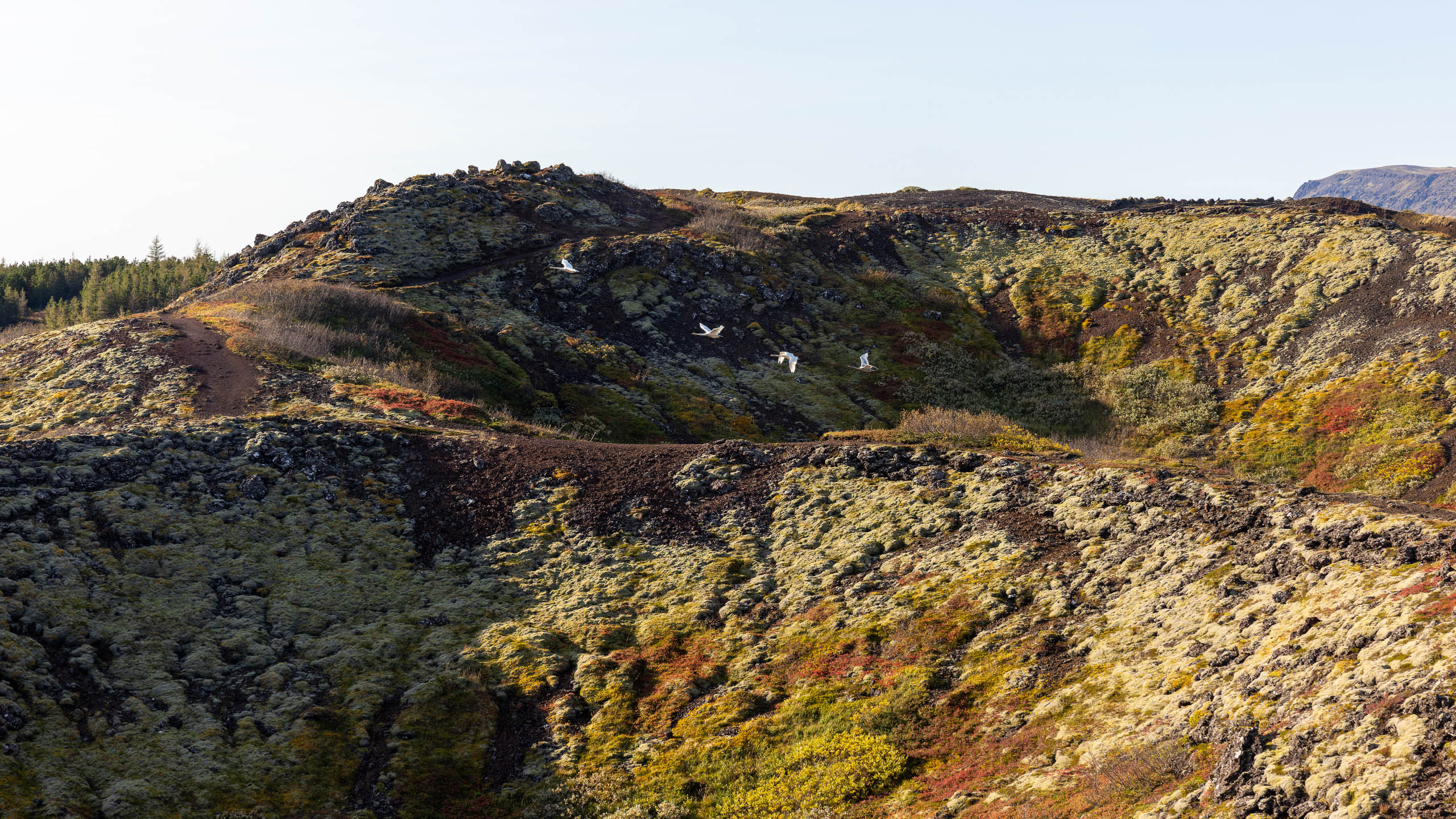 Kerið Island