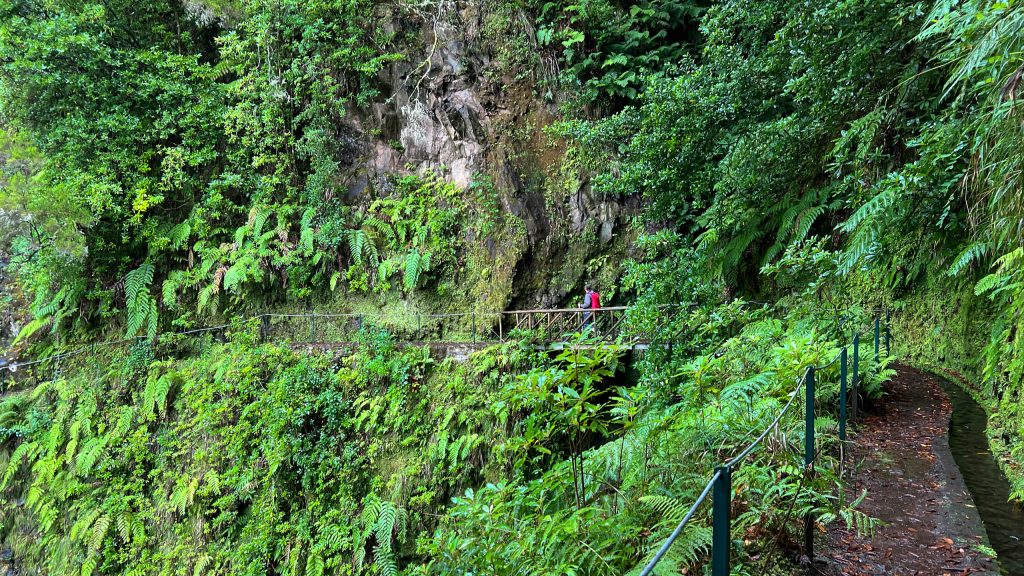 Wanderung Levada Dos Cedros leicht bergab